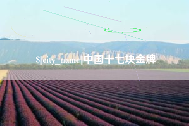 许昌中国十七块金牌