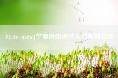许昌宁夏消防报名入口官网公告