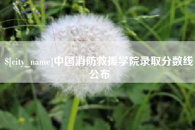 许昌中国消防救援学院录取分数线公布