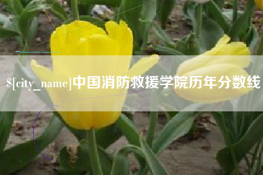 许昌中国消防救援学院历年分数线