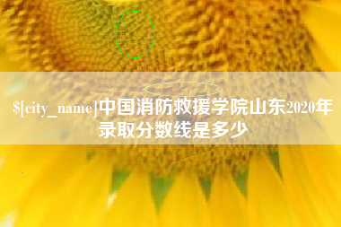许昌中国消防救援学院山东2020年录取分数线是多少