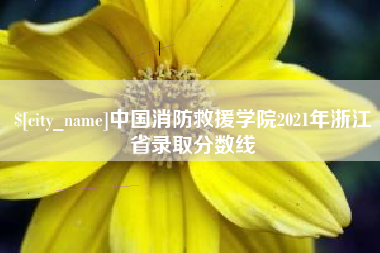 许昌中国消防救援学院2021年浙江省录取分数线
