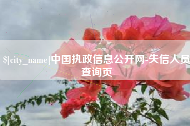 许昌中国执政信息公开网-失信人员查询页