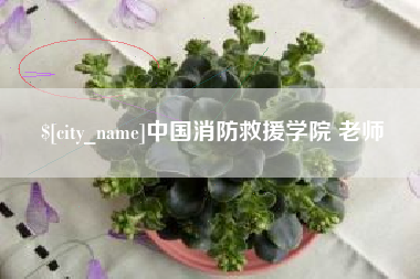 许昌中国消防救援学院 老师