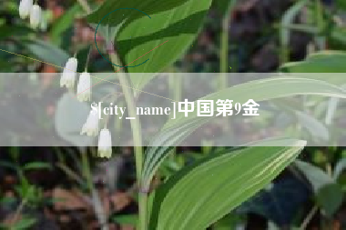 许昌中国第9金