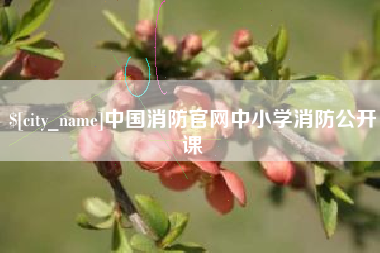 许昌中国消防官网中小学消防公开课