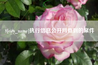 许昌执行信息公开网查到的案件