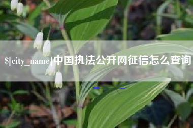 许昌中国执法公开网征信怎么查询