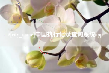 许昌中国执行记录查询系统app