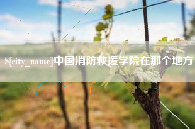许昌中国消防救援学院在那个地方