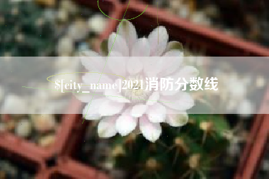许昌2021消防分数线