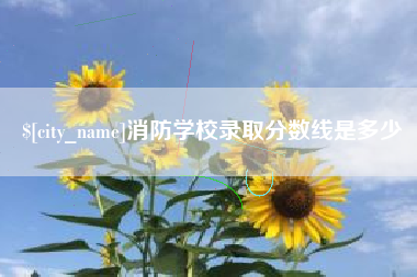 许昌消防学校录取分数线是多少
