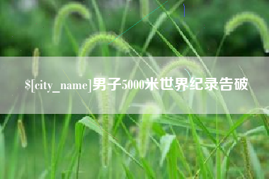 许昌男子5000米世界纪录告破
