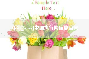 许昌中国执行网信息官网