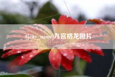 许昌九宫格龙图片