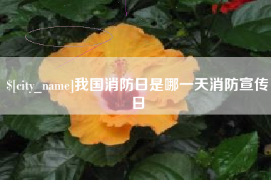许昌我国消防日是哪一天消防宣传日