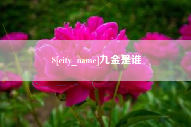 许昌九金是谁