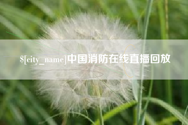许昌中国消防在线直播回放