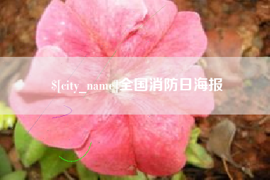 许昌全国消防日海报