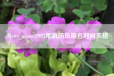 许昌2025年消防员报名时间表格