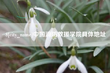 许昌中国消防救援学院具体地址