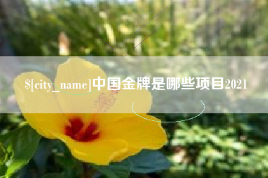 许昌中国金牌是哪些项目2021