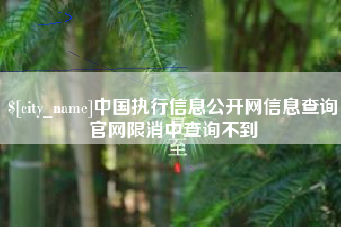 许昌中国执行信息公开网信息查询官网限消中查询不到