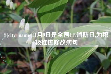 许昌11月9日是全国119消防日,为积极推进修改病句