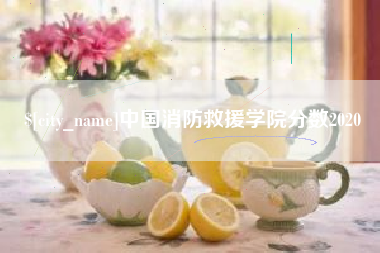 许昌中国消防救援学院分数2020
