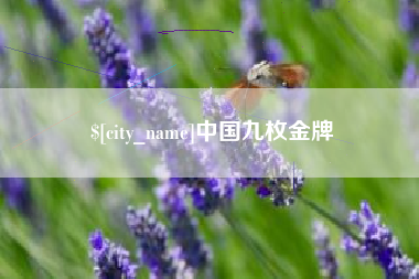 许昌中国九枚金牌