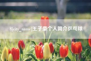 许昌王子豪个人简介乒乓球
