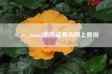 许昌消防证查询网上查询