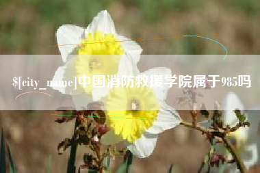 许昌中国消防救援学院属于985吗