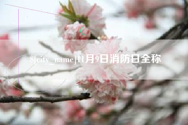许昌11月9日消防日全称