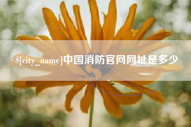 许昌中国消防官网网址是多少
