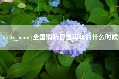 许昌全国消防日是每年的什么时候