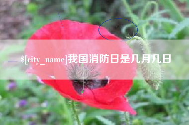 许昌我国消防日是几月几日