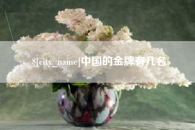 许昌中国的金牌有几名
