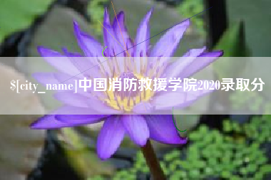 许昌中国消防救援学院2020录取分