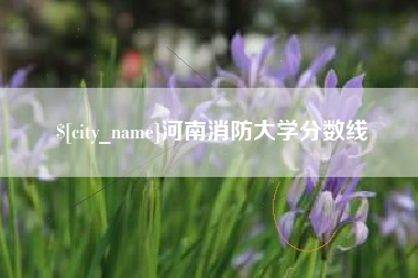 许昌河南消防大学分数线