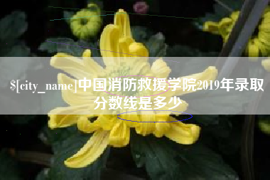 许昌中国消防救援学院2019年录取分数线是多少