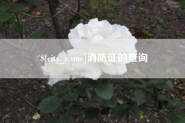 许昌消防证的查询