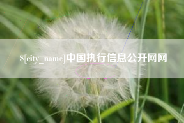 许昌中国执行信息公开网网