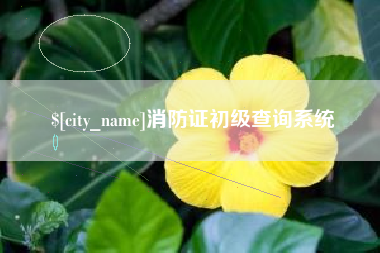 许昌消防证初级查询系统