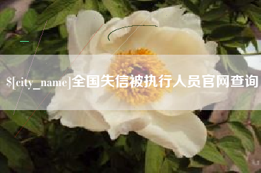 许昌全国失信被执行人员官网查询