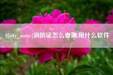 许昌消防证怎么查询,用什么软件