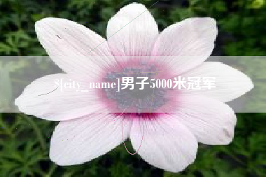 许昌男子5000米冠军