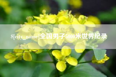 许昌全国男子5000米世界纪录