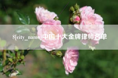 许昌中国十大金牌律师名单