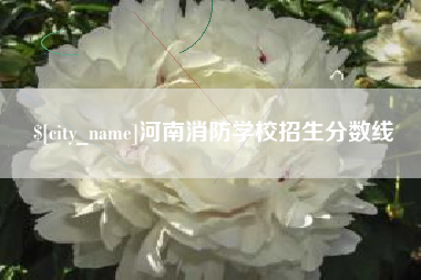 许昌河南消防学校招生分数线